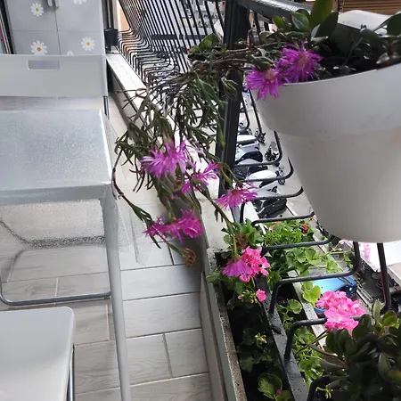 Appartement Roman's House Rome