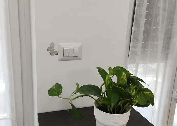 Roman's House * Roma